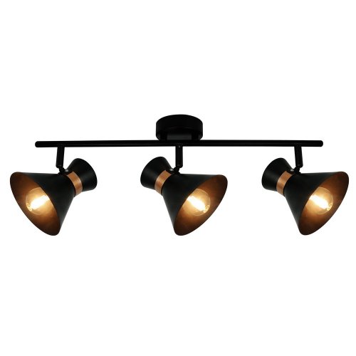 Черный спот со вставками золотого цвета A1406PL-3BK BALTIMORE Arte Lamp