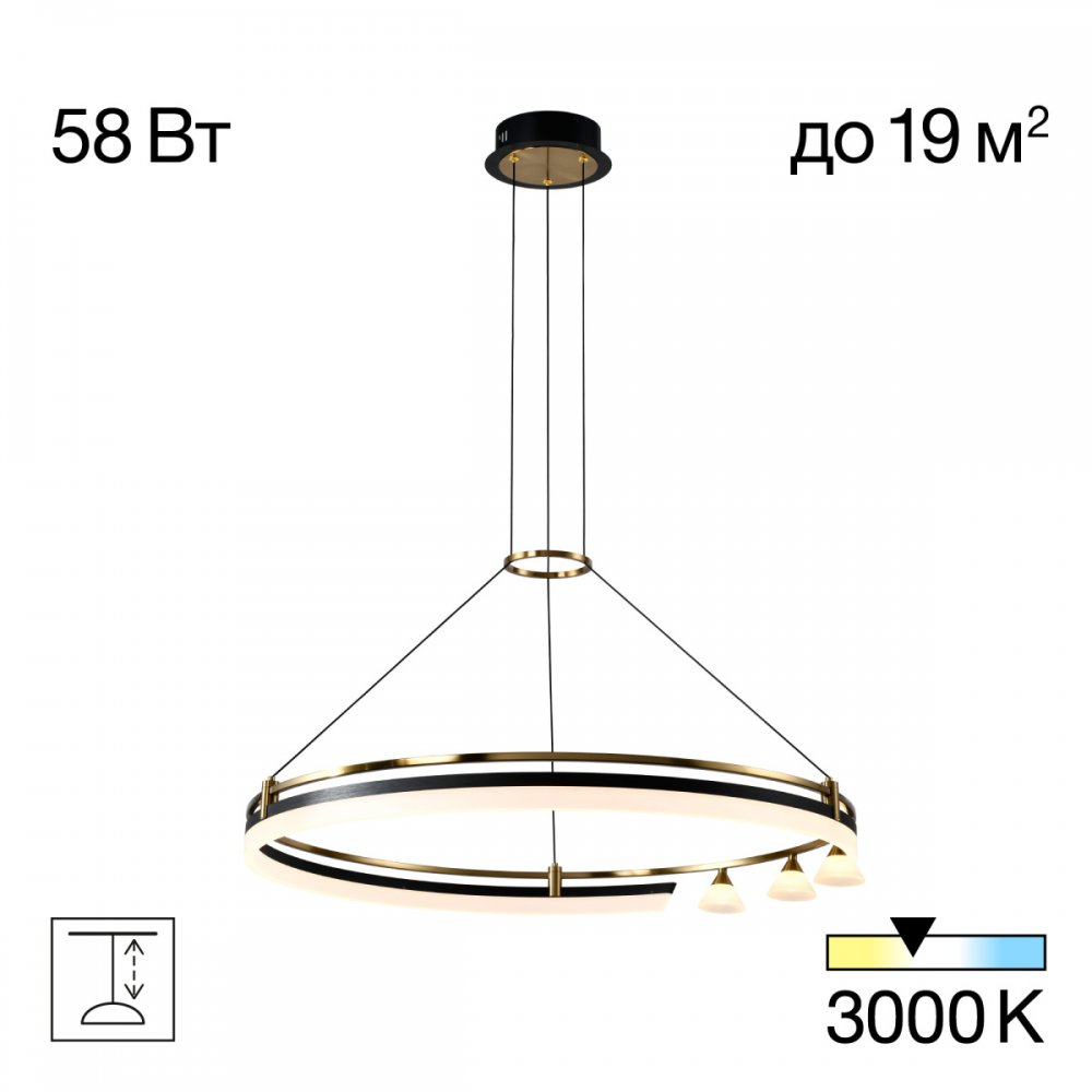 Подвесная люстра кольцо «HELLY» CL211082