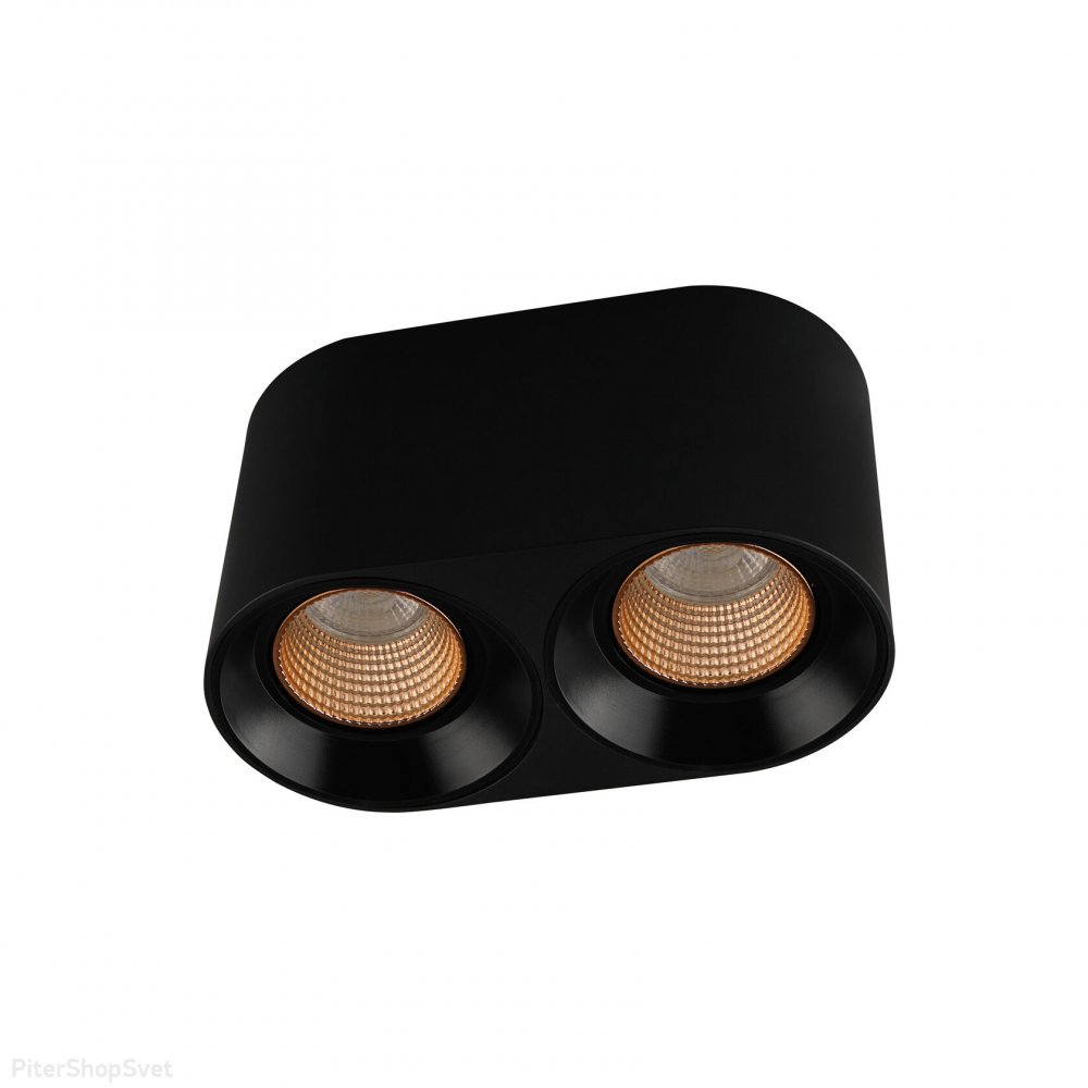 Чёрно-бронзовый двойной накладной потолочный светильник DK3096-BK+BR