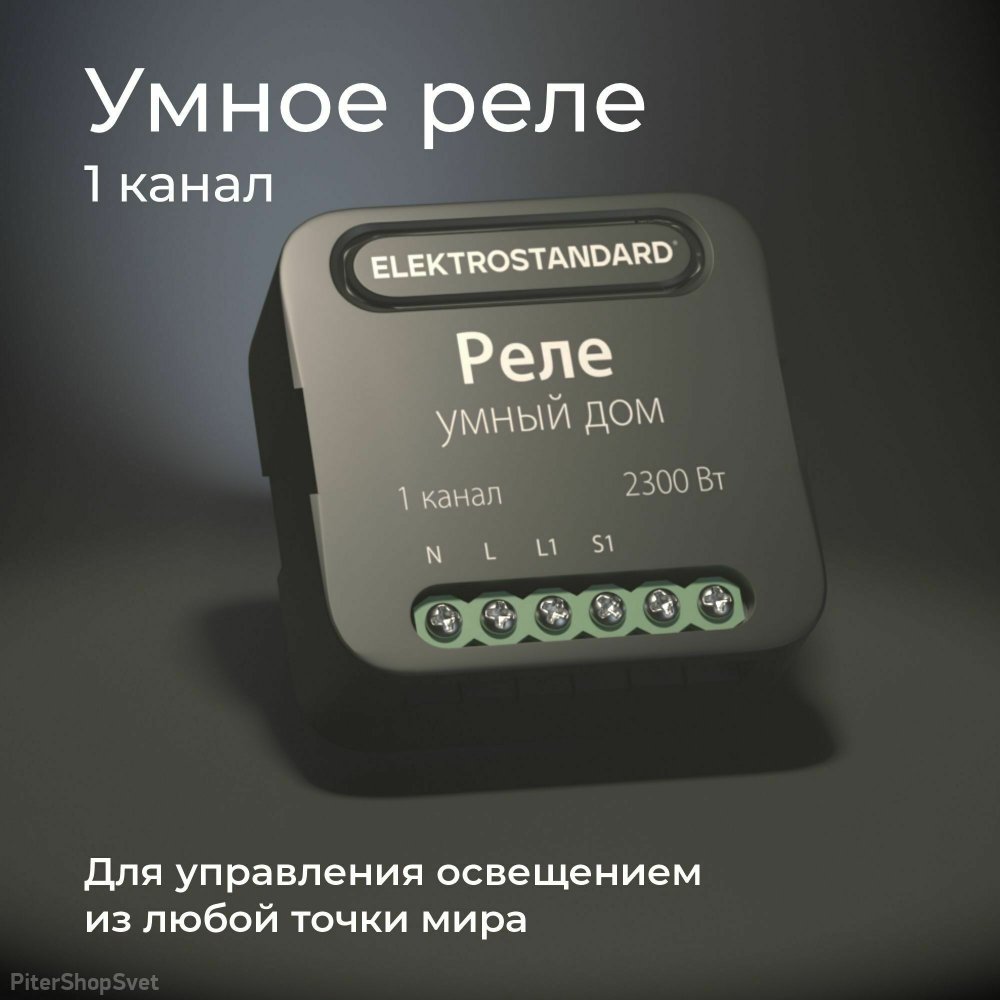 Умное одноканальное реле 76006/00 (Elektrostandard, a059324)