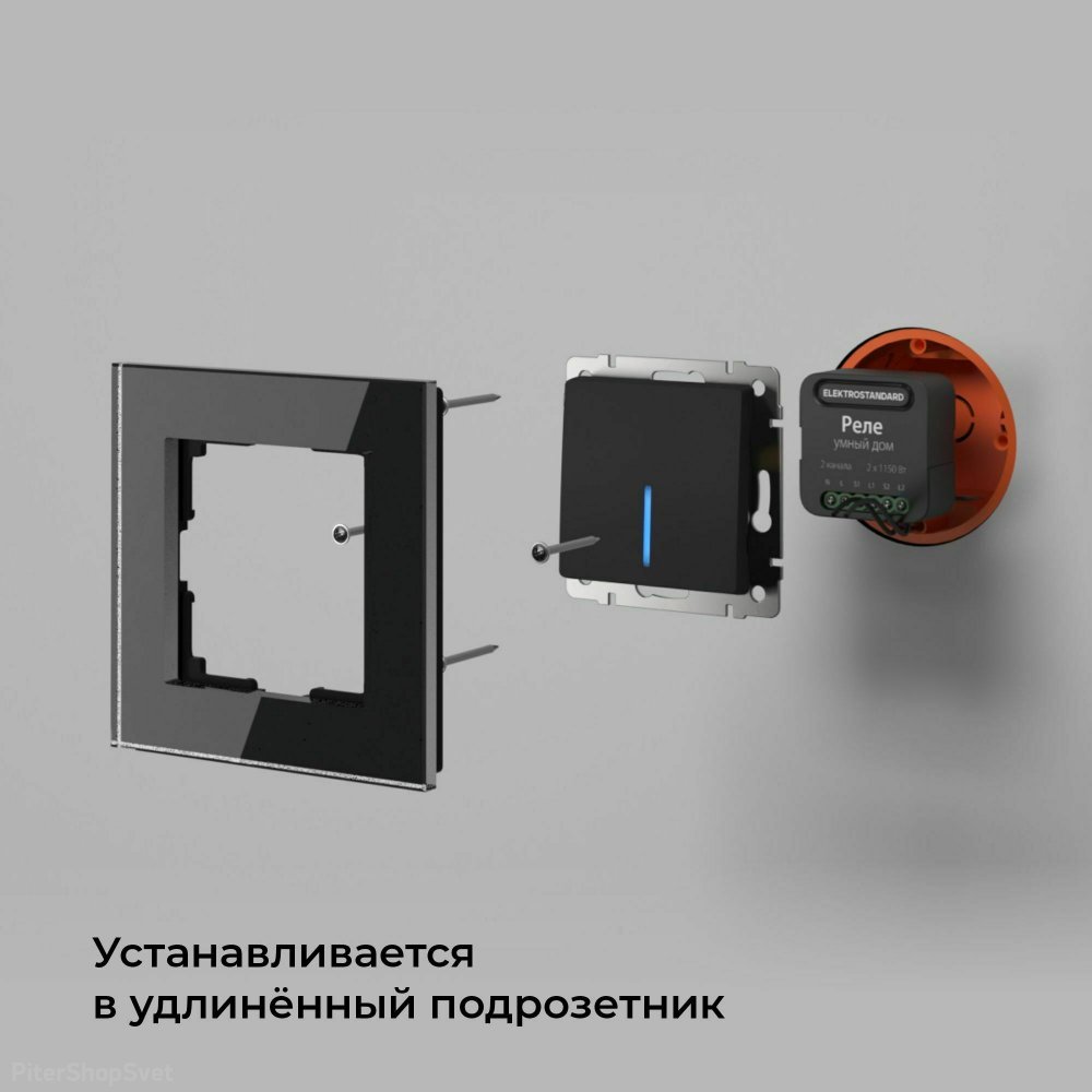 Умное двухканальное реле 76007/00 (Elektrostandard, a059326)