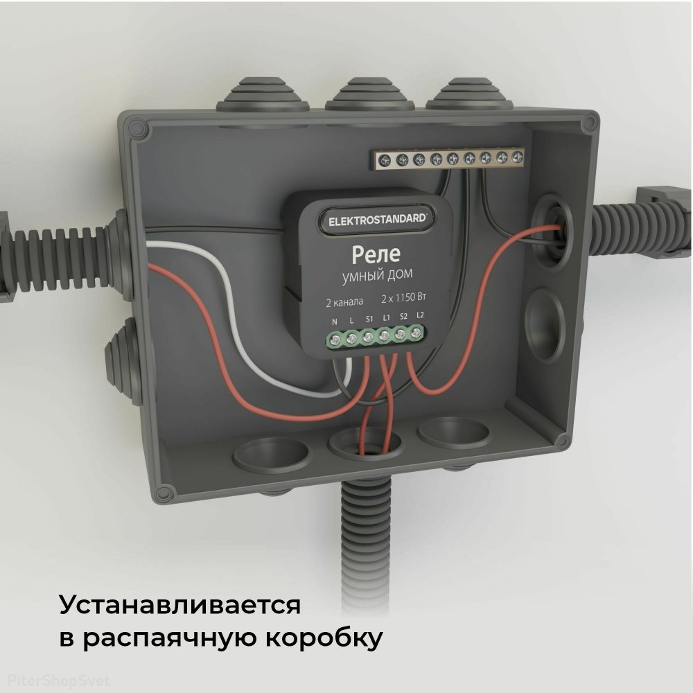 Умное двухканальное реле 76007/00 (Elektrostandard, a059326)