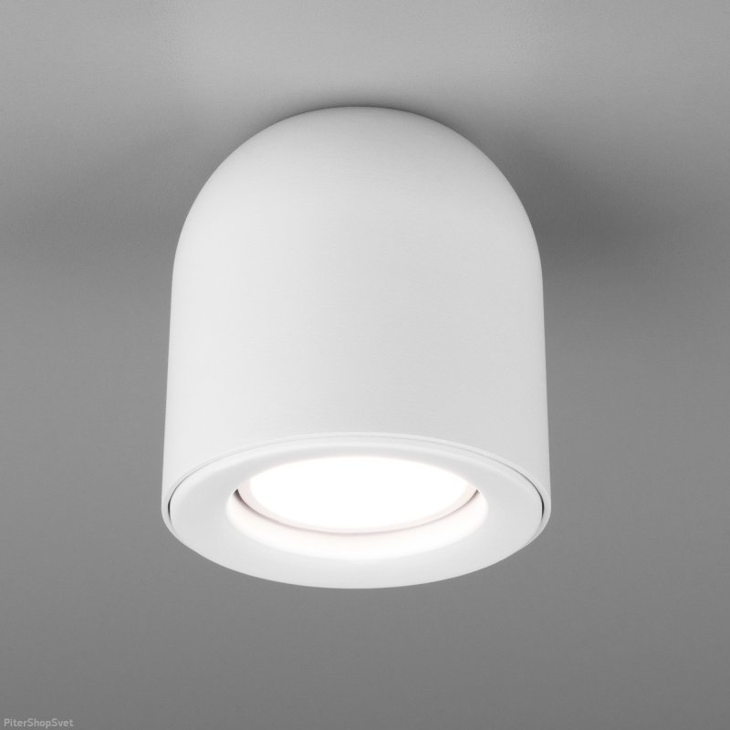 Накладной потолочный светильник DLN116 GU10 белый