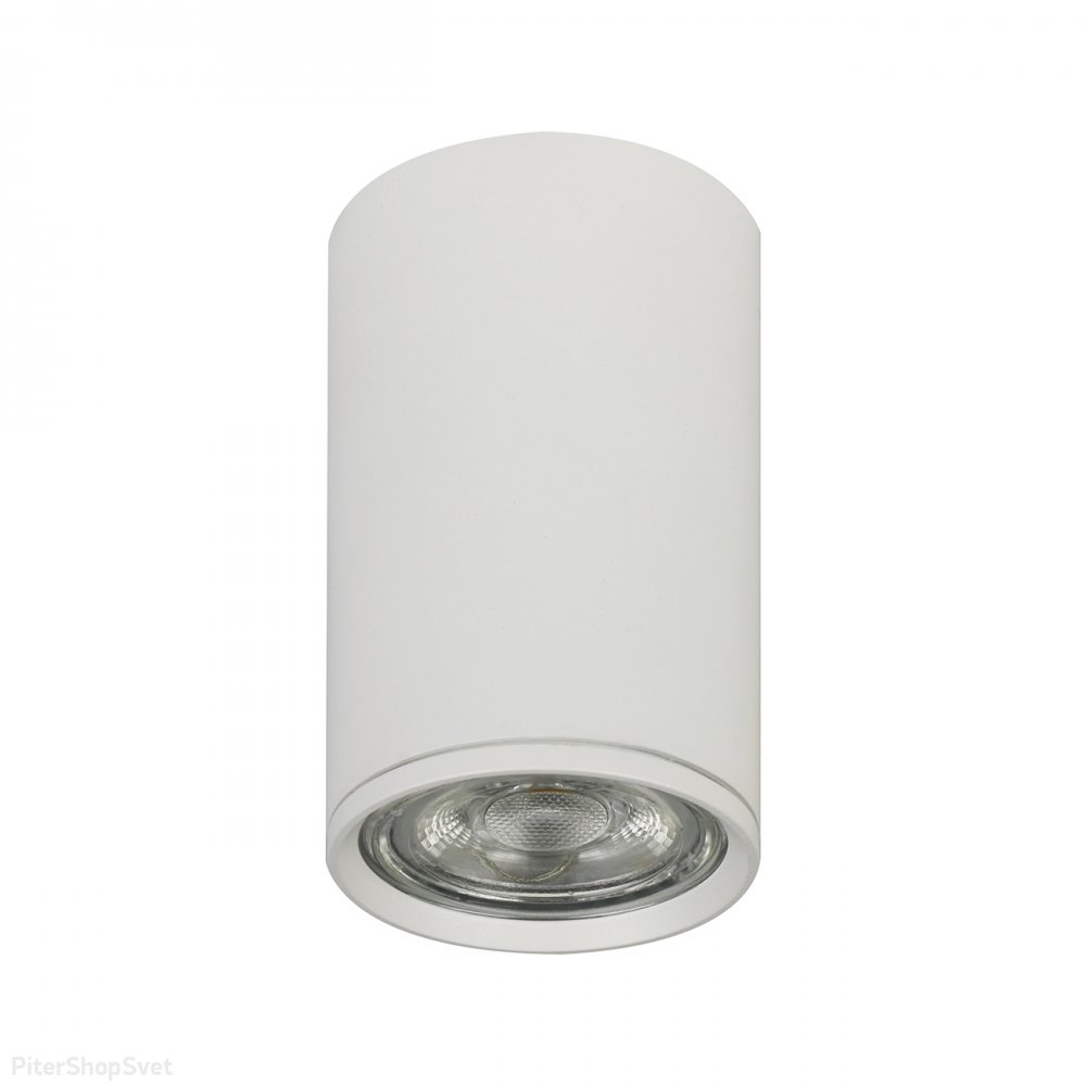 Белый накладной потолочный светильник цилиндр 20001SMU/01 SWH