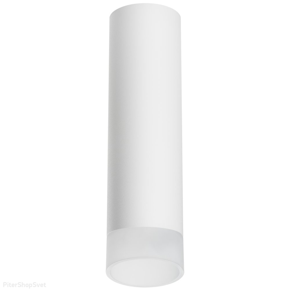 Накладной потолочный светильник цилиндр, белый/матовый «Rullo» R649681