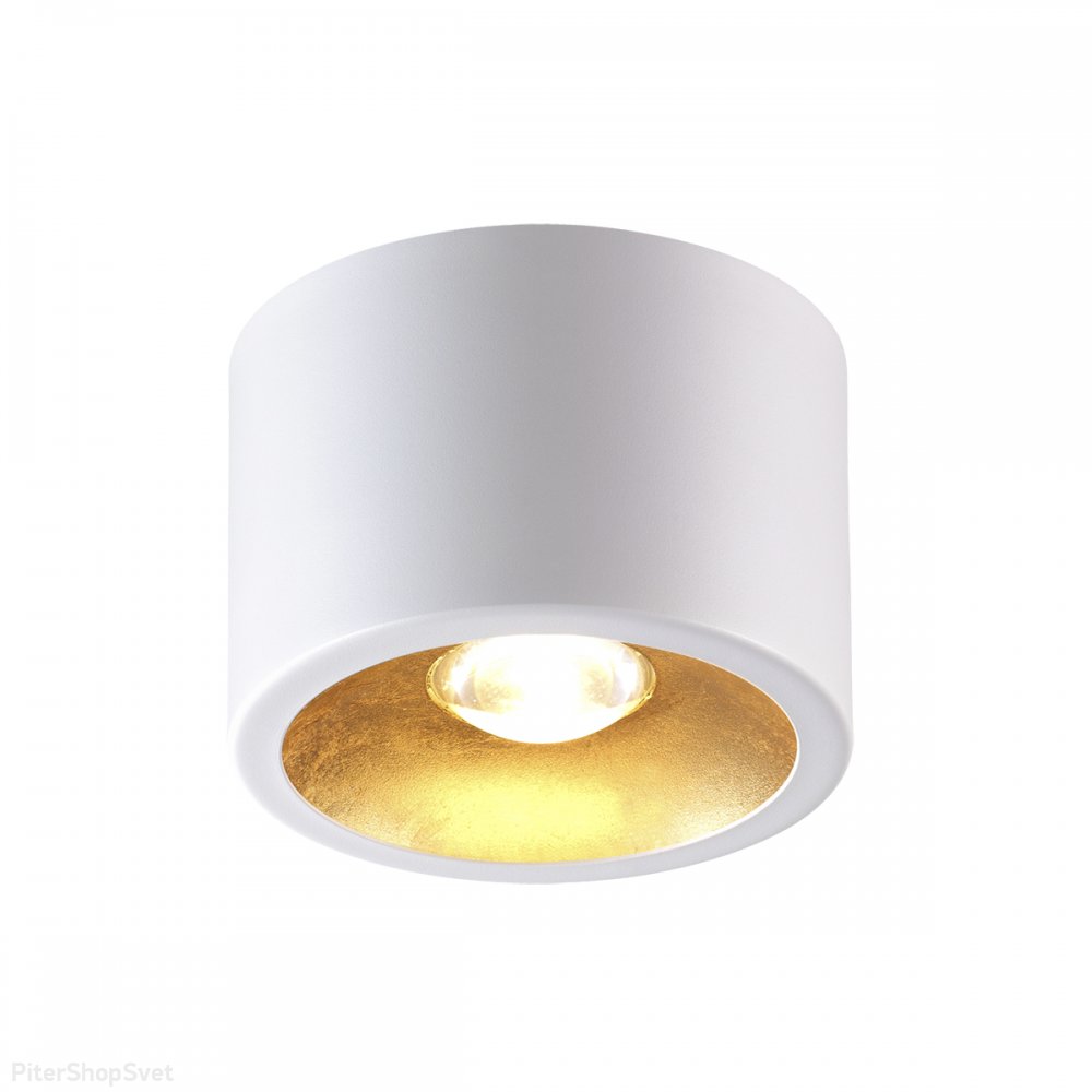 бело-золотой накладной потолочный светильник цилиндр «GLASGOW» 6668/1CL