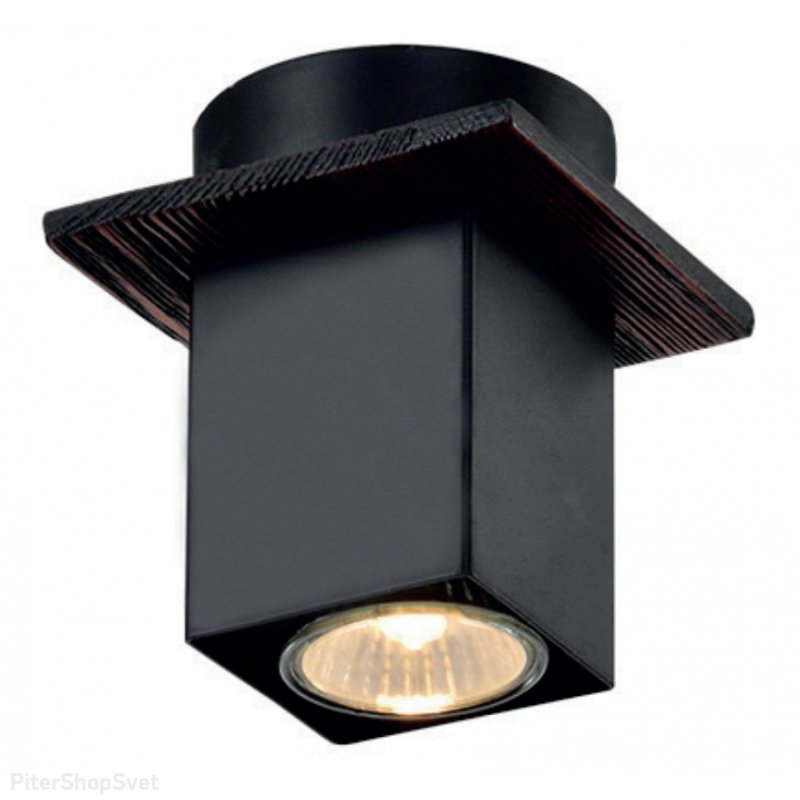 Чёрный накладной потолочный светильник «Luise» 3102-201